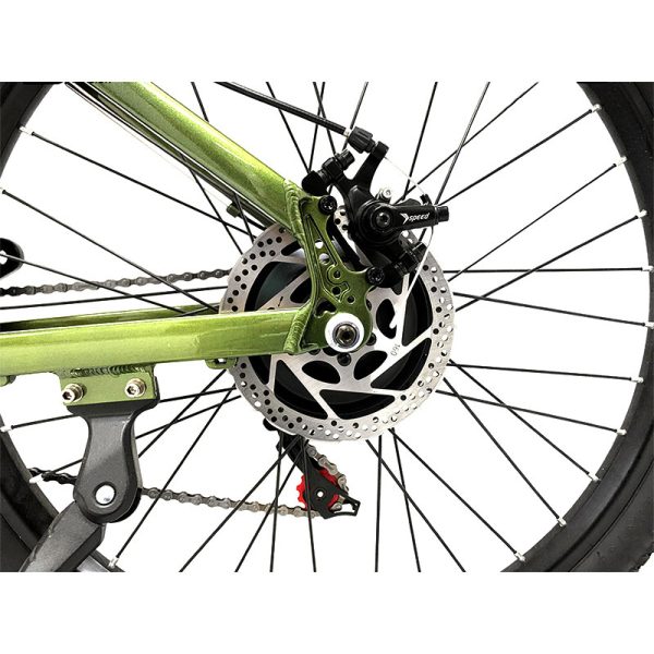 Electric Bike HL 500W 48V 10.4Ah 55kmh images07