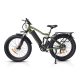 Electric Bike JY 1000W 48V 21Ah 55kmh images02