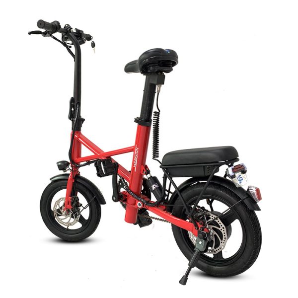 Electric Bike X1 250W 36V 7.8Ah 25kmh images03