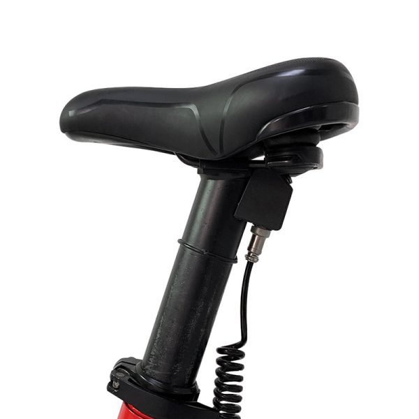 Electric Bike X1 250W 36V 7.8Ah 25kmh images05