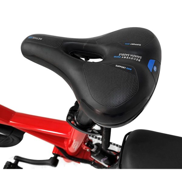 Electric Bike X1 250W 36V 7.8Ah 25kmh images06