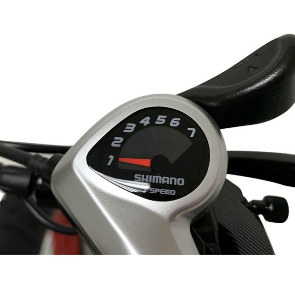 Electric Bike XGHM-52 1000W 48V 14Ah 55kmh images05