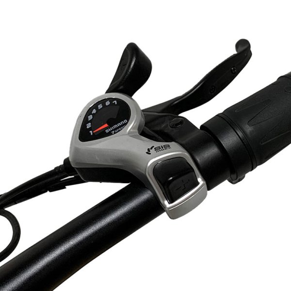 Electric Bike XGZC-52 1000W 48V 14Ah 55kmh images06