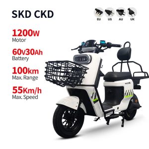 Electric Bike BD 1200W 60V 30Ah 55kmh images01