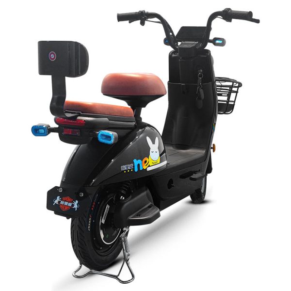 Electric Bike LZ 350W 48V 20Ah 35kmh images03