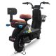 Electric Bike LZ 350W 48V 20Ah 35kmh images03