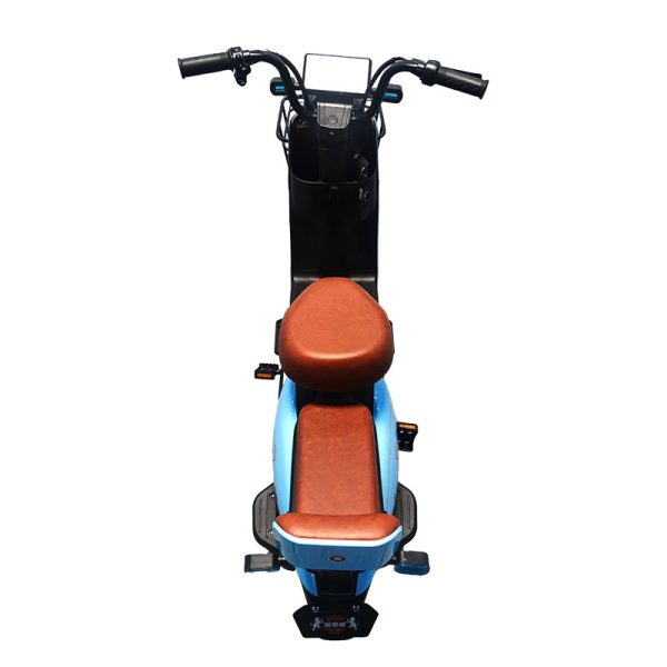 Electric Bike LZ 350W 48V 20Ah 35kmh images04