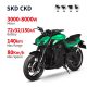 Electric Motorcycle N19 3000W-8000W 72V 32Ah150Ah 80kmh images01