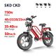 Electric Bike D70 750W 48V 15Ah20Ah23Ah 50kmh images01