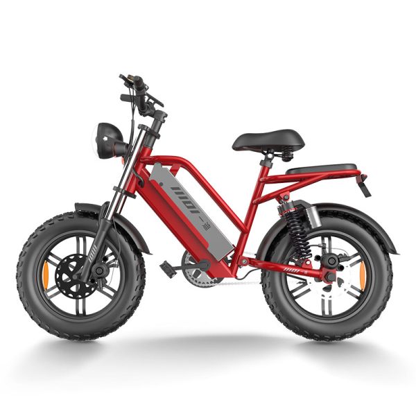 Electric Bike D70 750W 48V 15Ah20Ah23Ah 50kmh images02