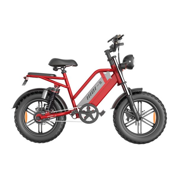 Electric Bike D70 750W 48V 15Ah20Ah23Ah 50kmh images03