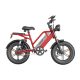 Electric Bike D70 750W 48V 15Ah20Ah23Ah 50kmh images03