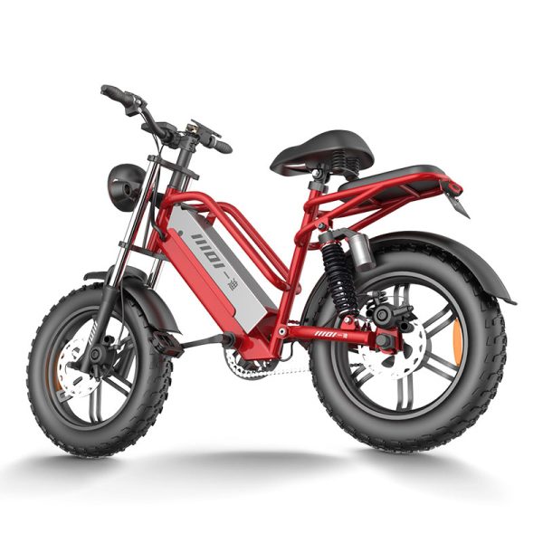 Electric Bike D70 750W 48V 15Ah20Ah23Ah 50kmh images04