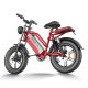 Electric Bike D70 750W 48V 15Ah20Ah23Ah 50kmh images04