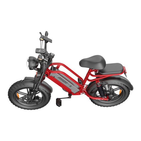 Electric Bike D70 750W 48V 15Ah20Ah23Ah 50kmh images06
