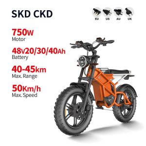 Electric Bike D74 750W 48V 20Ah30Ah40Ah 50kmh images01