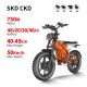 Electric Bike D74 750W 48V 20Ah30Ah40Ah 50kmh images01