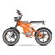 Electric Bike D74 750W 48V 20Ah30Ah40Ah 50kmh images02