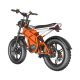 Electric Bike D74 750W 48V 20Ah30Ah40Ah 50kmh images03