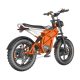 Electric Bike D74 750W 48V 20Ah30Ah40Ah 50kmh images04