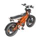 Electric Bike D74 750W 48V 20Ah30Ah40Ah 50kmh images05