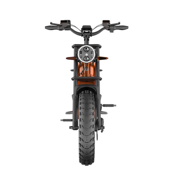 Electric Bike D74 750W 48V 20Ah30Ah40Ah 50kmh images06