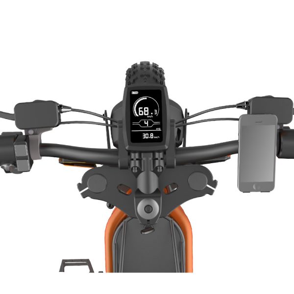 Electric Bike D74 750W 48V 20Ah30Ah40Ah 50kmh images07