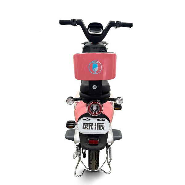 Electric Bike GB-29 400W 48V60V 20Ah 25kmh images04