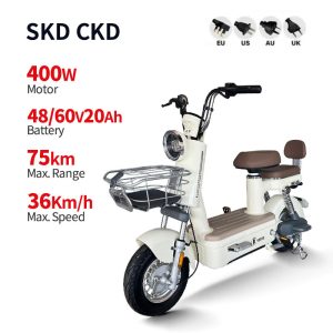 Electric Bike GB-31 400W 48V60V 20Ah 36kmh images01