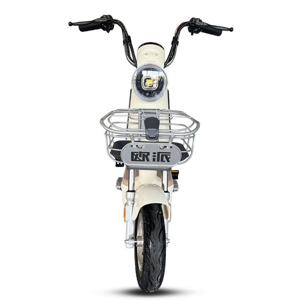 Electric Bike GB-31 400W 48V60V 20Ah 36kmh images04