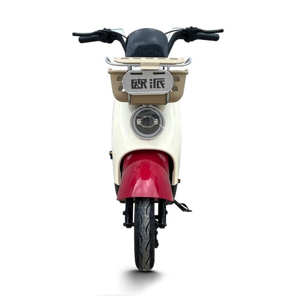 Electric Bike GB-32 400W 48V 20Ah 35kmh images04
