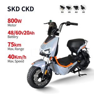 Electric Bike GB-33 800W 48V60V 20Ah 40kmh images01