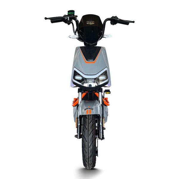 Electric Bike GB-33 800W 48V60V 20Ah 40kmh images04