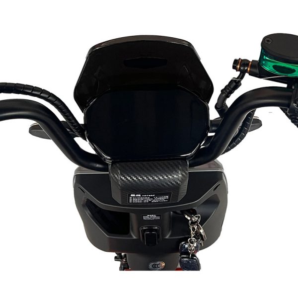 Electric Bike GB-33 800W 48V60V 20Ah 40kmh images06