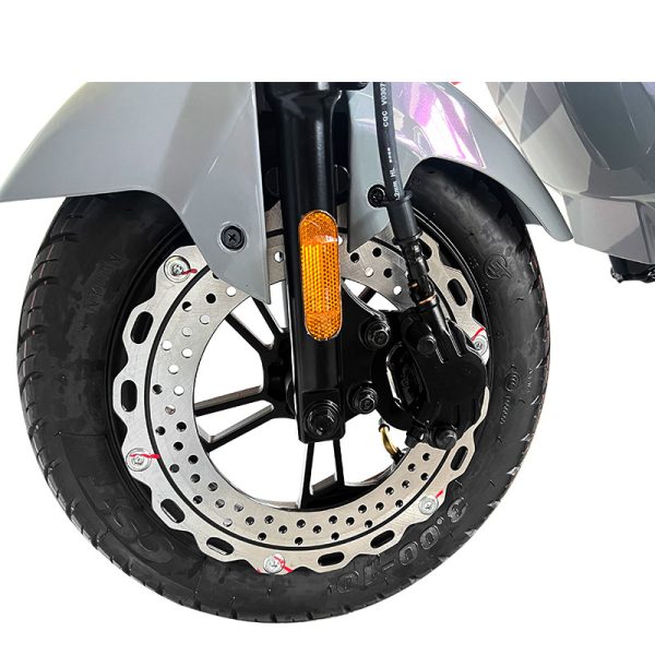 Electric Bike GB-33 800W 48V60V 20Ah 40kmh images07