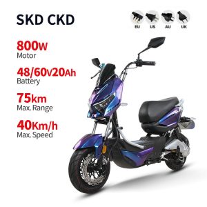 Electric Bike GB-34 800W 48V60V 20Ah 40kmh images01