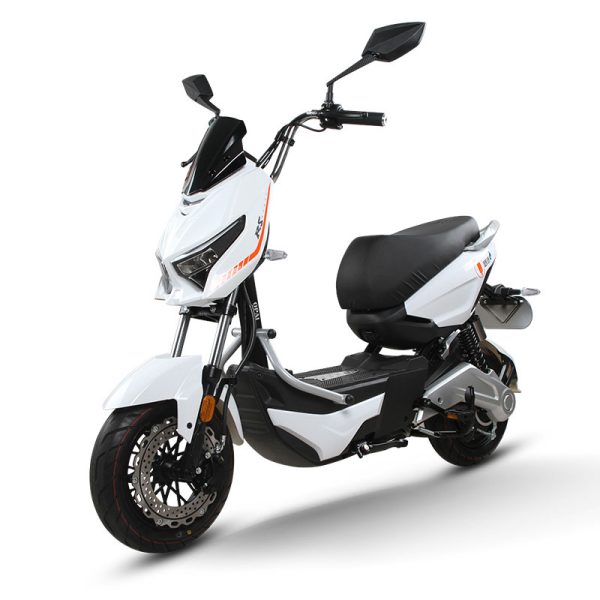 Electric Bike GB-34 800W 48V60V 20Ah 40kmh images03