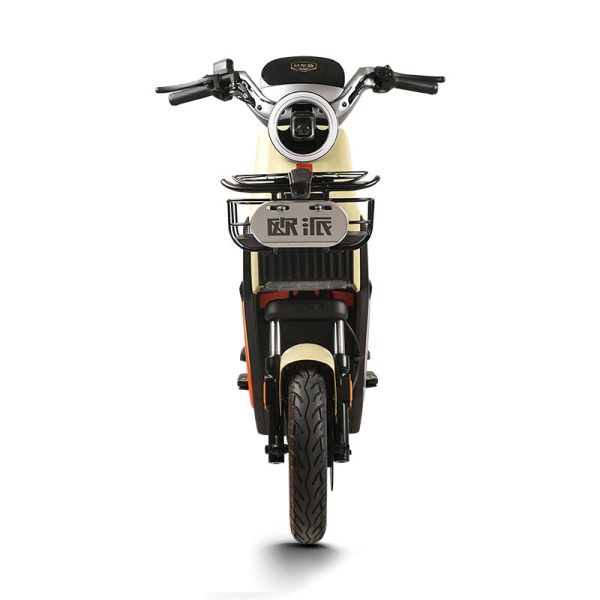 Electric Bike GB-35 800W 60V72V 20Ah 45kmh (Private Model) images06