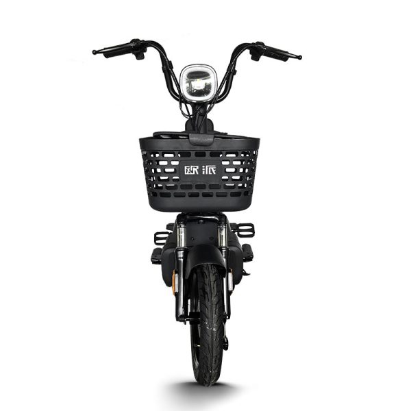 Electric Bike GB-36 350W 48V 20Ah 30kmh images04