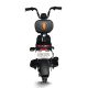 Electric Bike GB-36 350W 48V 20Ah 30kmh images05
