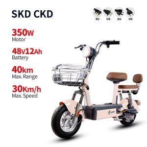 Electric Bike GB-56 350W 48V 12Ah 30kmh (Private Model) images01