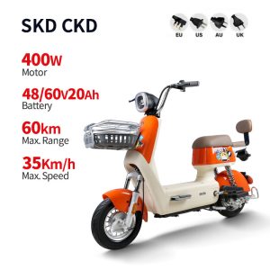 Electric Bike GB-57 400W 48V60V 20Ah 35kmh (Private Model) images01