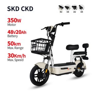 Electric Bike GB-60 350W 48V 20Ah 30kmh images01