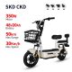 Electric Bike GB-60 350W 48V 20Ah 30kmh images01