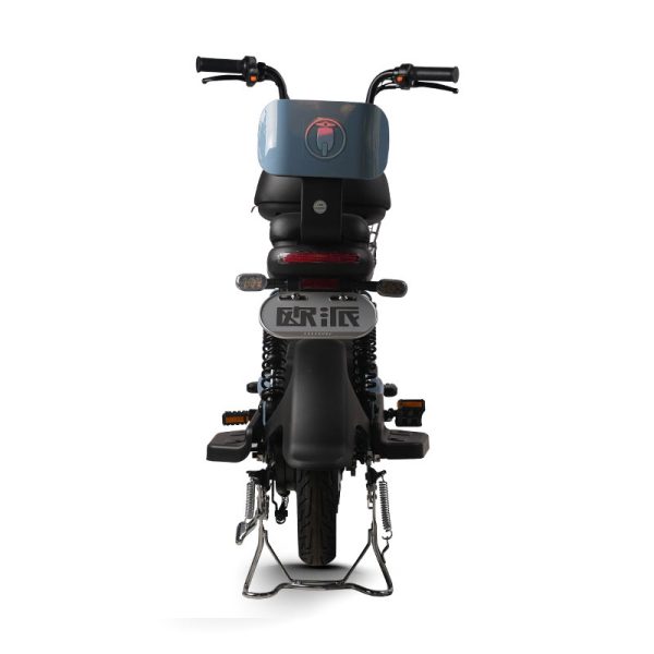 Electric Bike GB-62 400W 48V60V 20Ah 35kmh images05