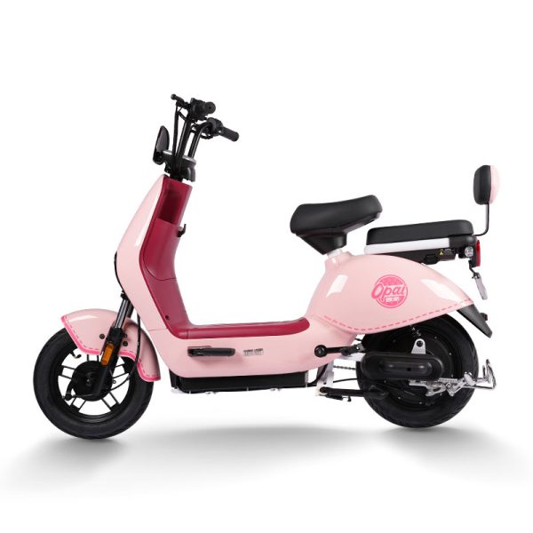 Electric Bike GB-63 400W 48V60V 20Ah 35kmh images02