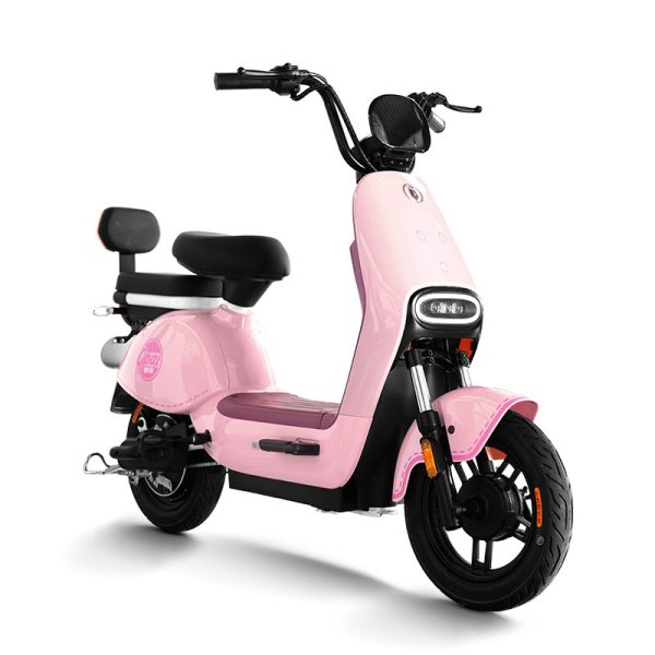 Electric Bike GB-63 400W 48V60V 20Ah 35kmh images03