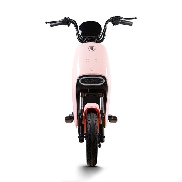 Electric Bike GB-63 400W 48V60V 20Ah 35kmh images04