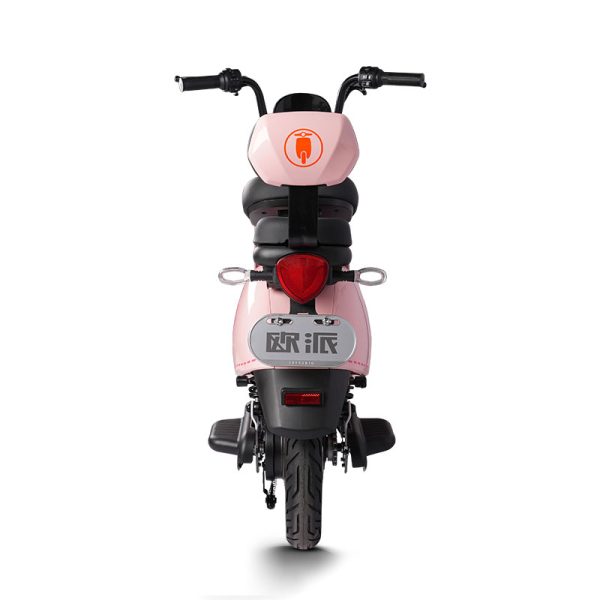 Electric Bike GB-63 400W 48V60V 20Ah 35kmh images05