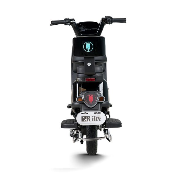 Electric Bike GB-65 800W 60V72V 20Ah 40kmh images05